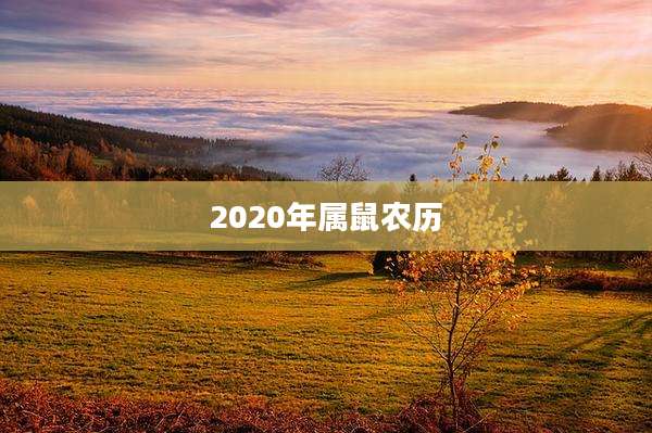 2020年属鼠农历