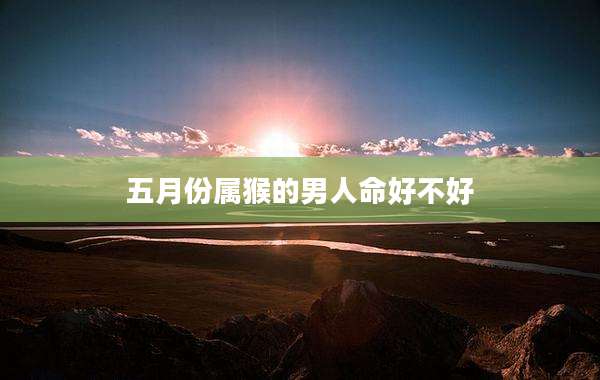 五月份属猴的男人命好不好