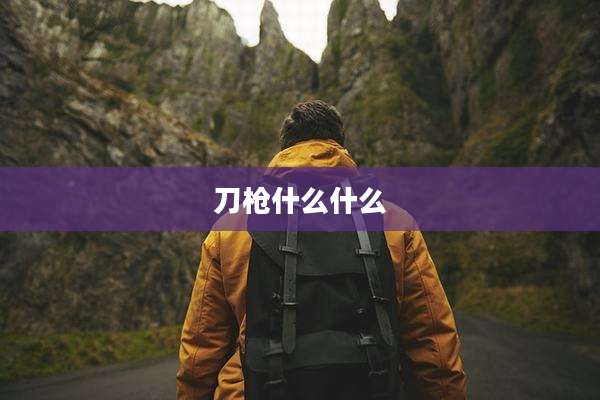 刀枪什么什么