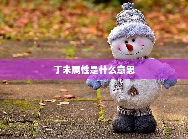 丁未属性是什么意思