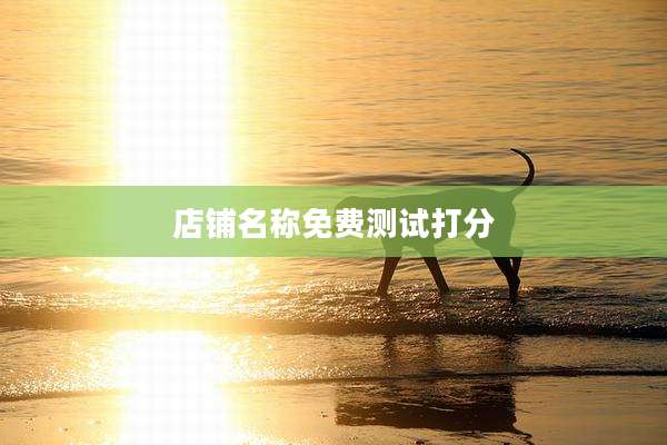 店铺名称免费测试打分