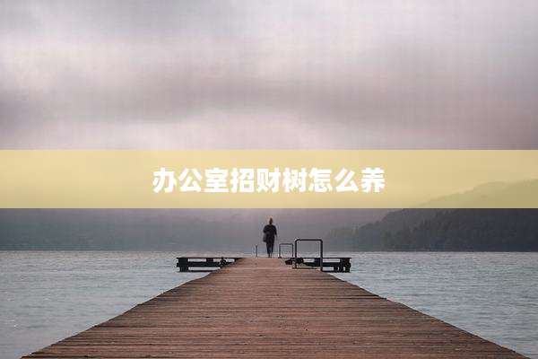 办公室招财树怎么养