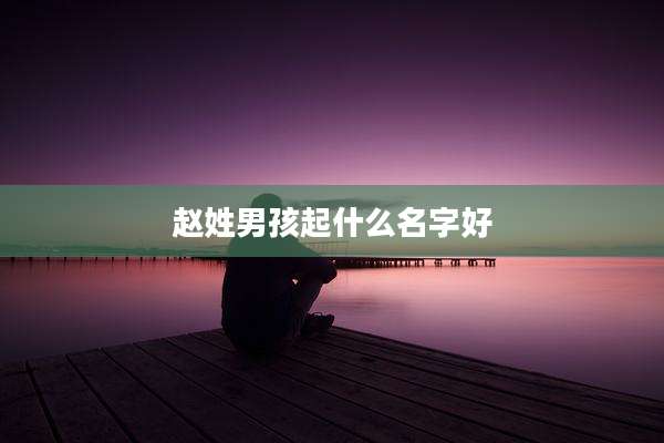 赵姓男孩起什么名字好