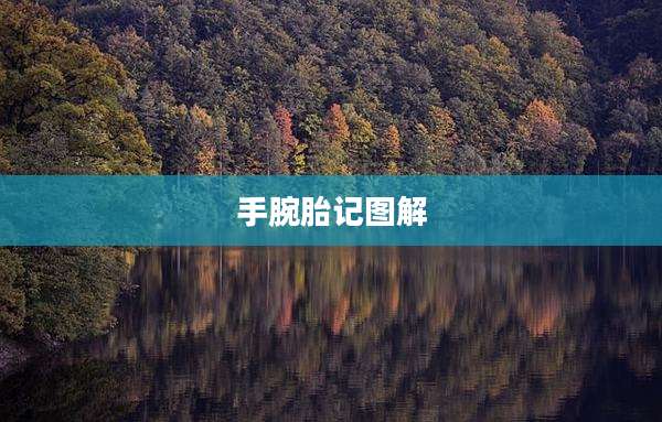 手腕胎记图解