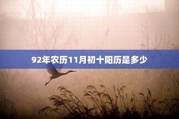 92年农历11月初十阳历是多少