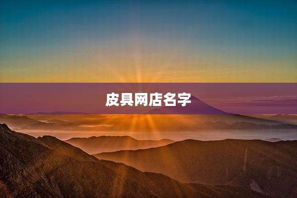 皮具网店名字
