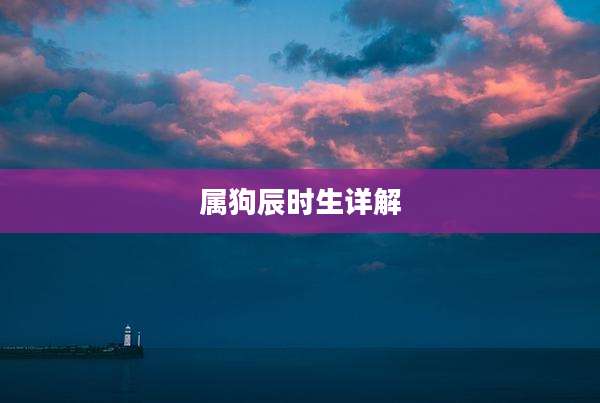 属狗辰时生详解