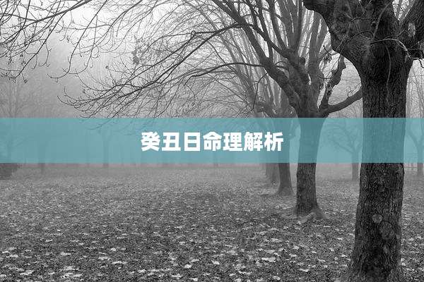 癸丑日命理解析