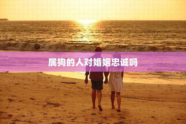 属狗的人对婚姻忠诚吗