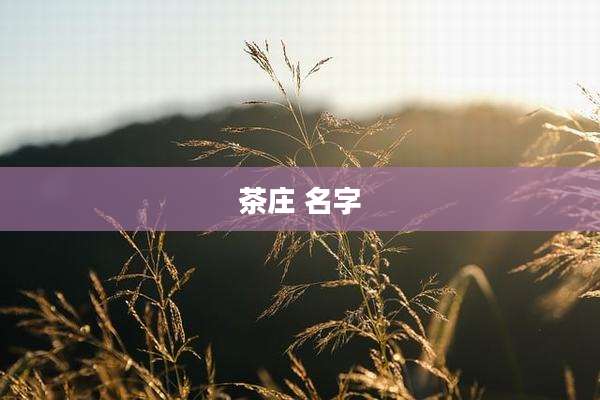 茶庄 名字