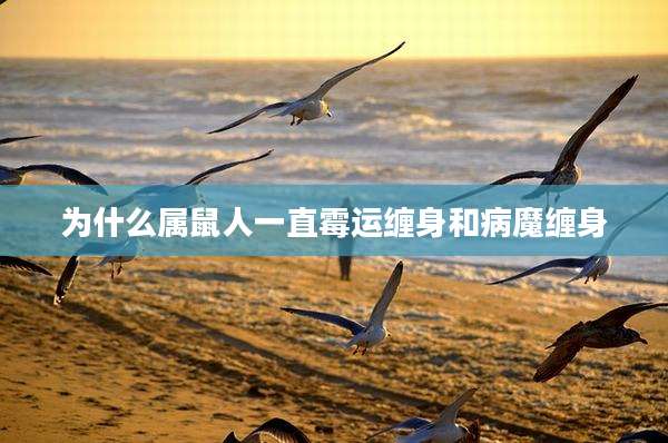 为什么属鼠人一直霉运缠身和病魔缠身