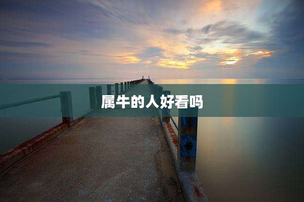 属牛的人好看吗