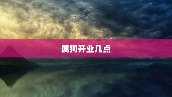 属狗开业几点