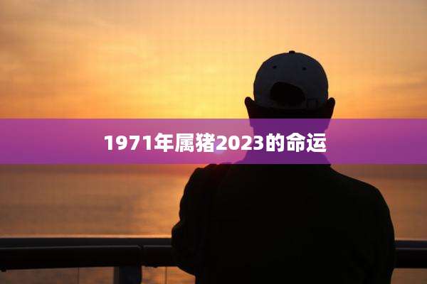 1971年属猪2023的命运
