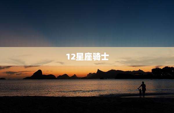 12星座骑士