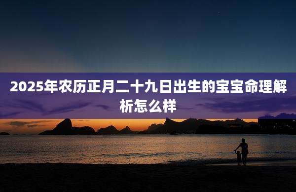 2025年农历正月二十九日出生的宝宝命理解析怎么样