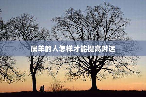 属羊的人怎样才能提高财运