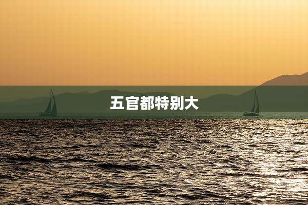 五官都特别大