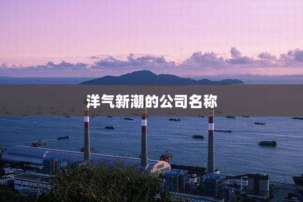 洋气新潮的公司名称