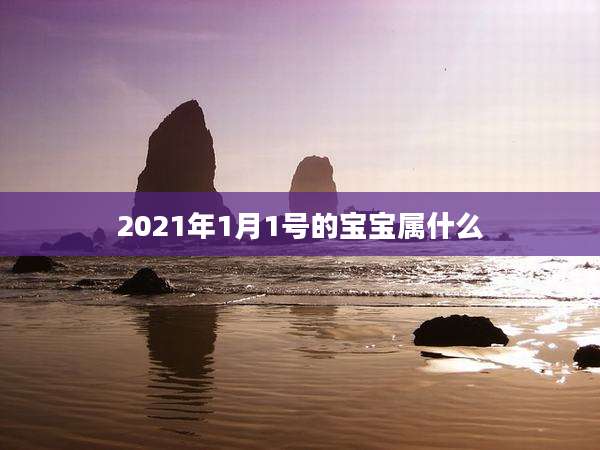 2021年1月1号的宝宝属什么