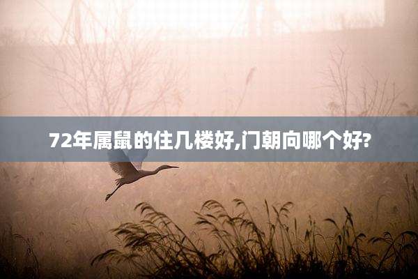72年属鼠的住几楼好,门朝向哪个好?