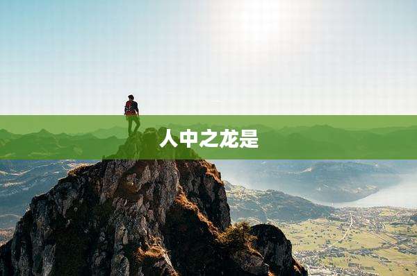 人中之龙是