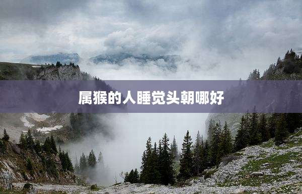 属猴的人睡觉头朝哪好