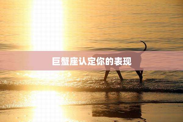 巨蟹座认定你的表现
