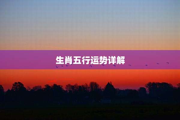 生肖五行运势详解