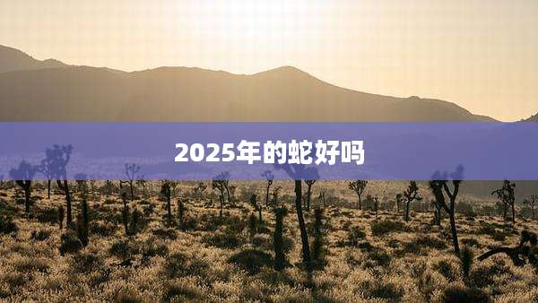 2025年的蛇好吗