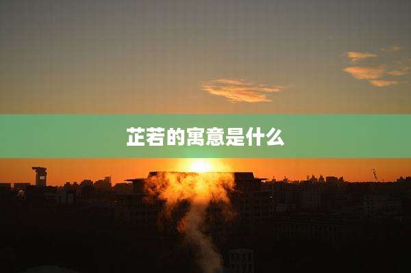 芷若的寓意是什么