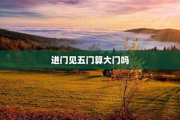 进门见五门算大门吗