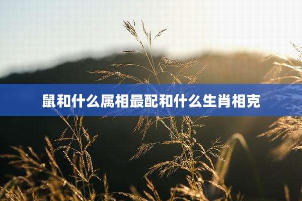 鼠和什么属相最配和什么生肖相克