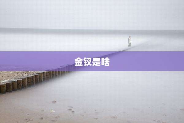 金钗是啥