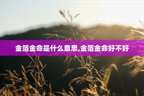 金箔金命是什么意思,金箔金命好不好
