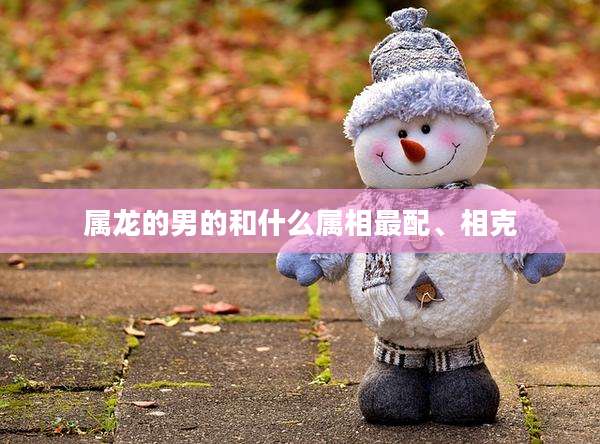 属龙的男的和什么属相最配、相克