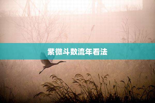 紫微斗数流年看法