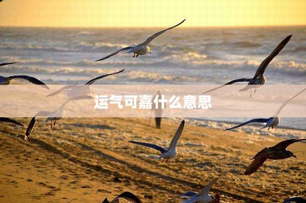 运气可嘉什么意思