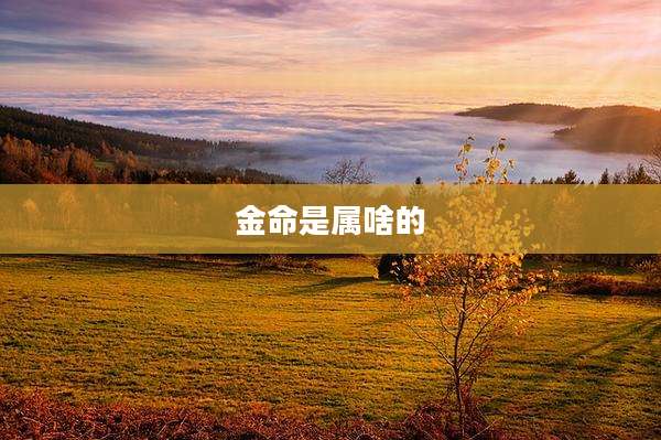 金命是属啥的
