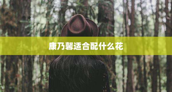 康乃馨适合配什么花