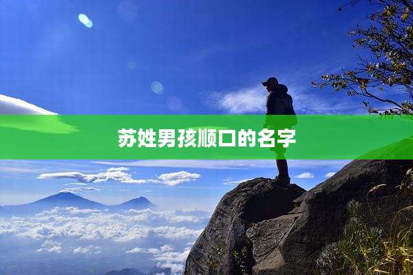 苏姓男孩顺口的名字