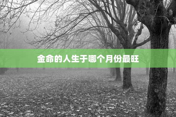 金命的人生于哪个月份最旺