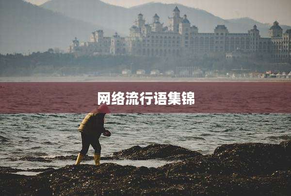 网络流行语集锦