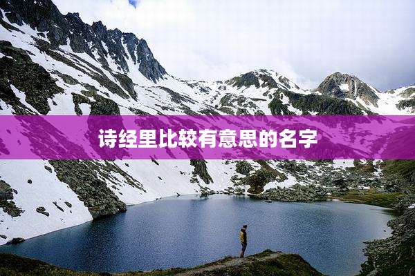 诗经里比较有意思的名字