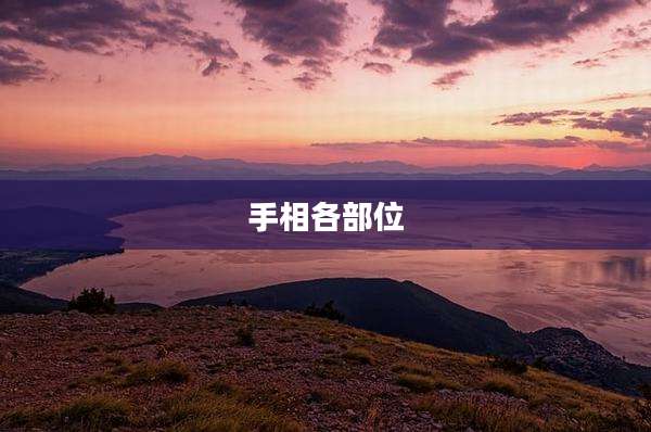 手相各部位