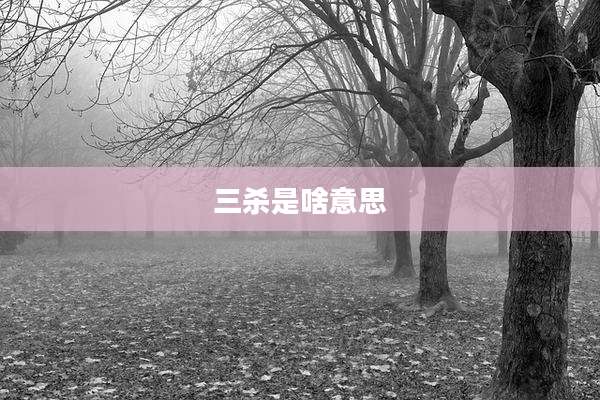 三杀是啥意思
