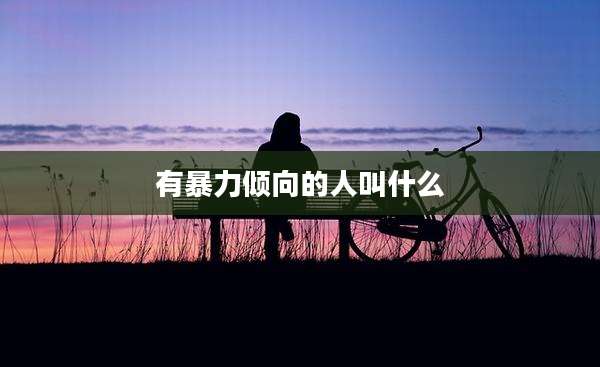 有暴力倾向的人叫什么