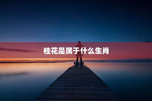 桂花是属于什么生肖