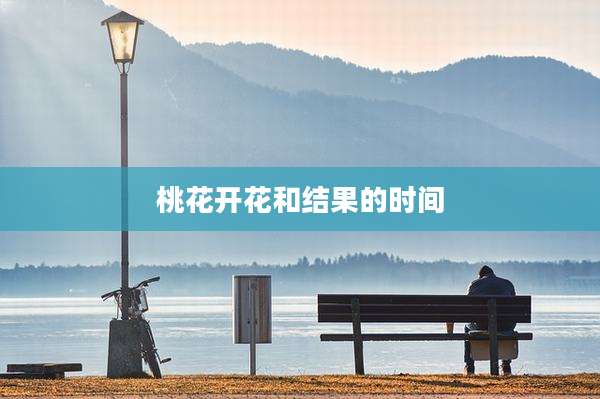 桃花开花和结果的时间