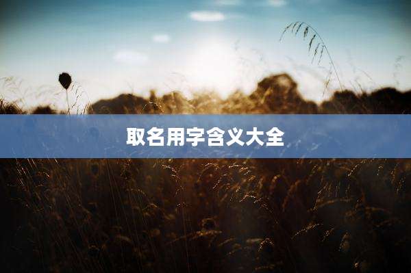 取名用字含义大全
